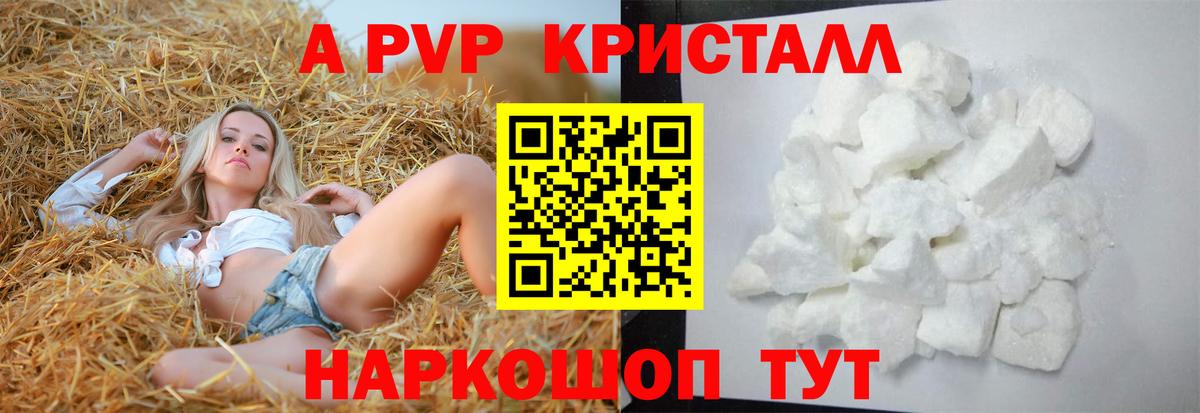как найти наркотики  Alfa_PVP мука  Вход с VPN  Канаш 
