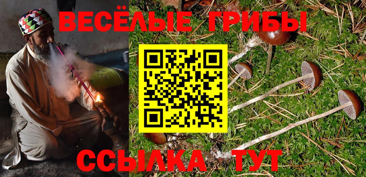 Канаш  Галлюциногенные грибы Psilocybine cubensis  Псилоцибиновые грибы мухоморы  Вход с VPN 